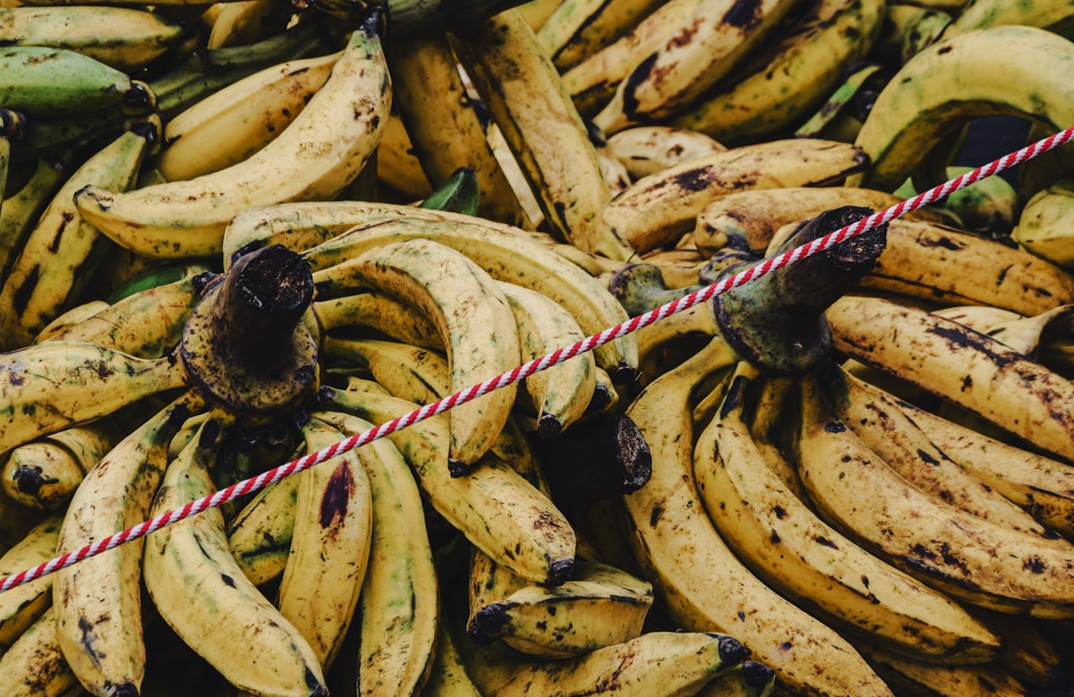 Guide des fruits de saison