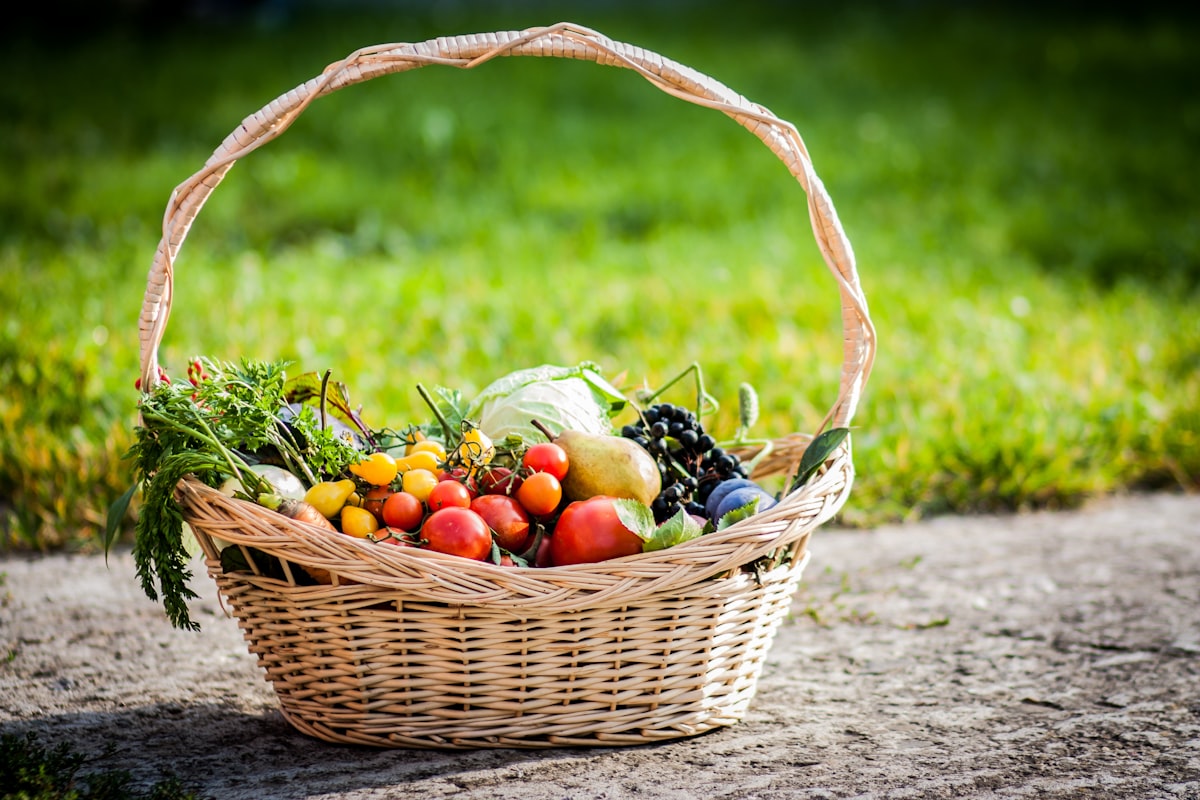 Consultation et conseil nutrition